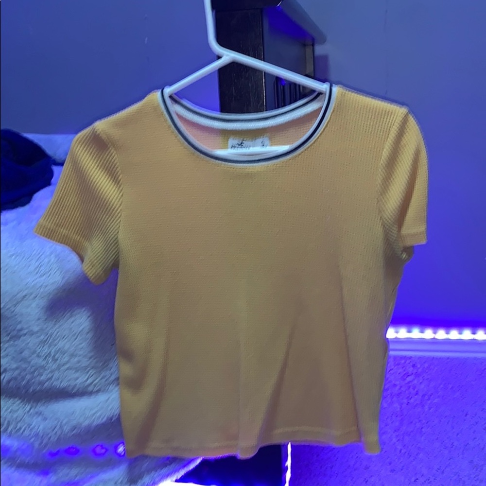 Holister T
